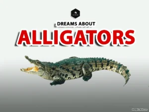 meaning of dreams about alligators