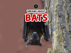 dreaming of bats meaning