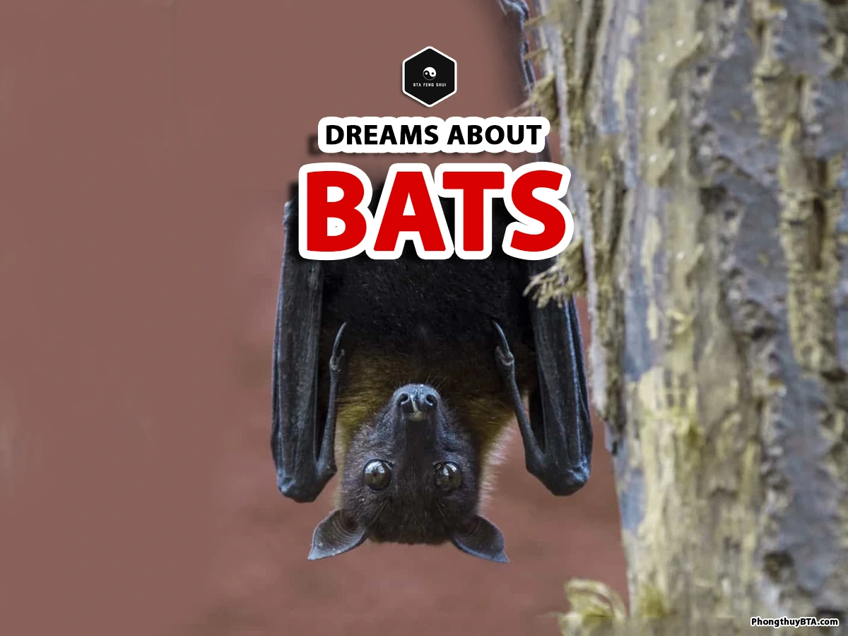 dreaming of bats meaning