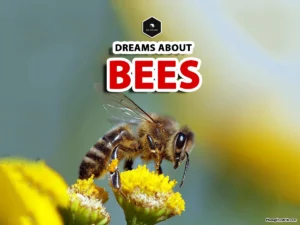 meaning of dreaming with bees