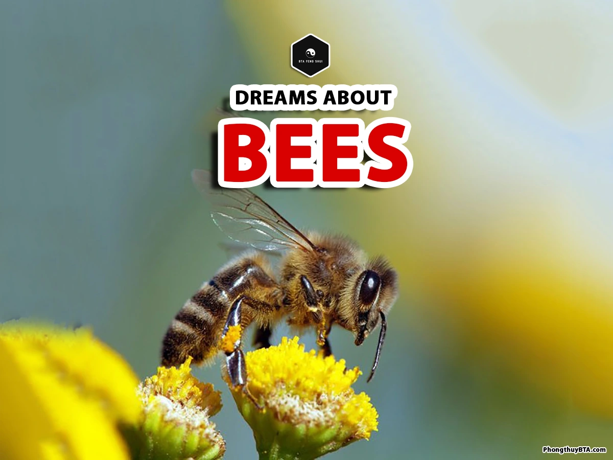 meaning of dreaming with bees