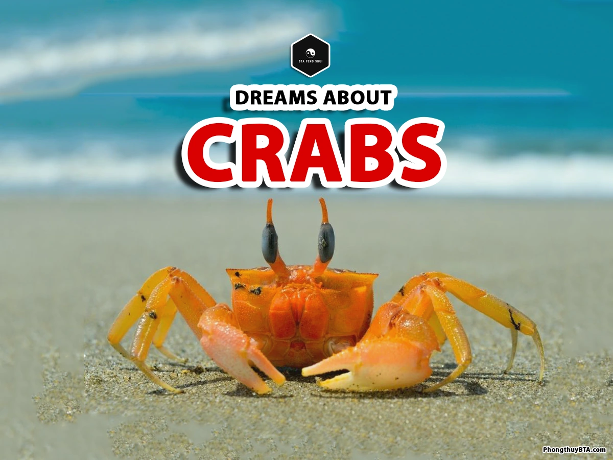 dream crabs meaning