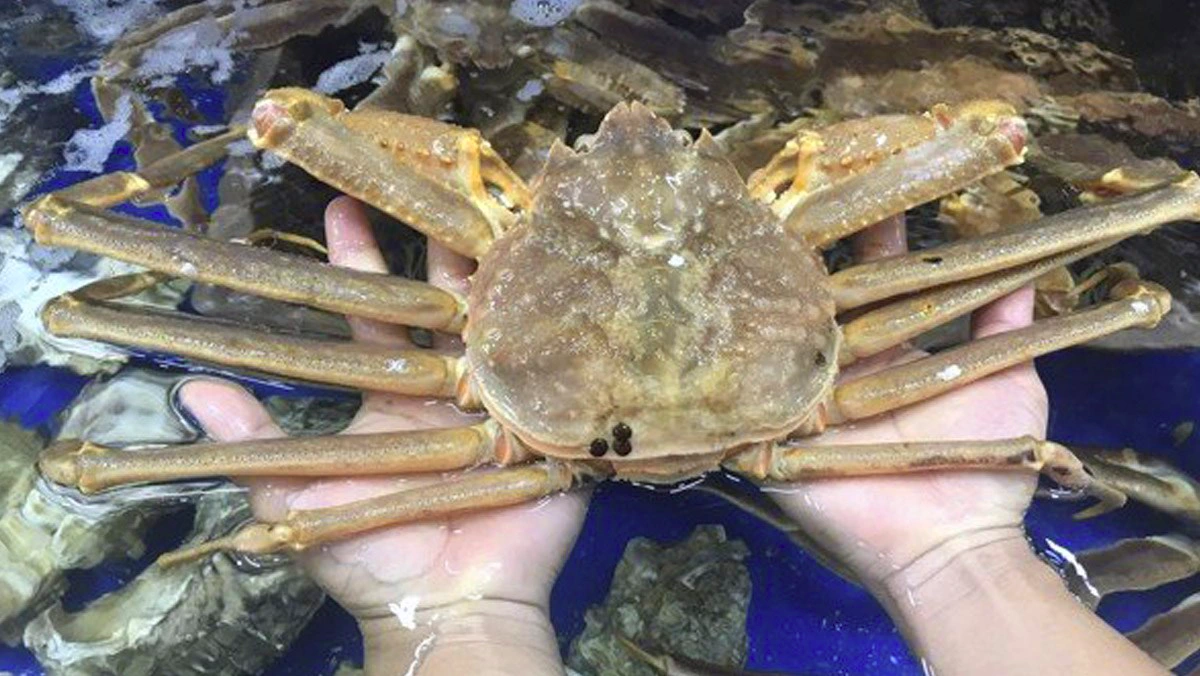 spiritual meaning of a crab in a dream