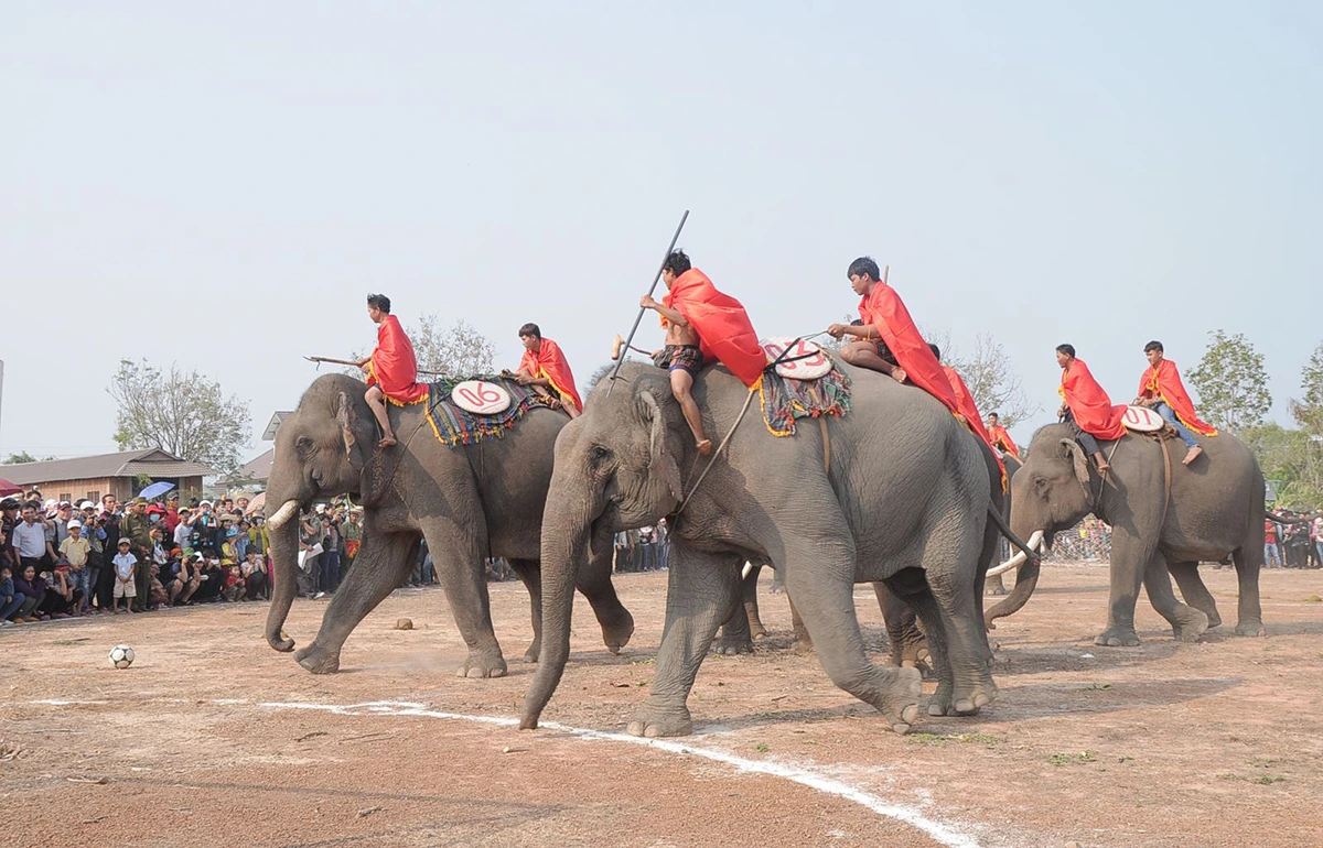 dreaming with elephants meaning