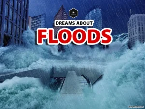 dreaming with floods