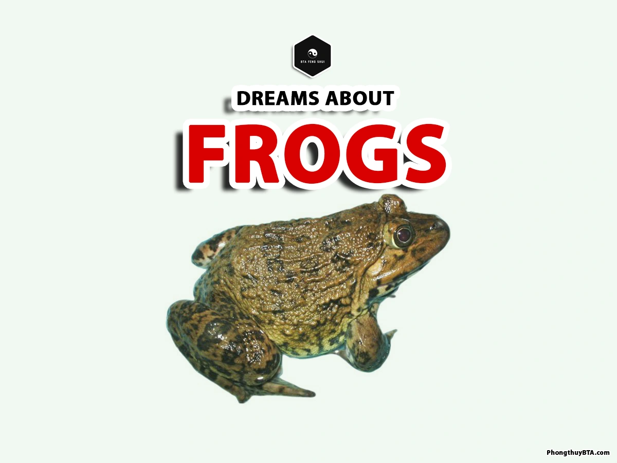 dreaming about frogs meaning