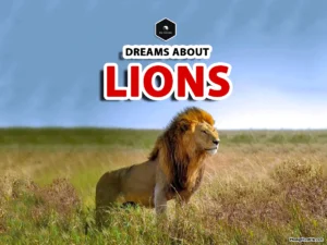 meaning of dreams about lions