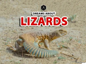 dream interpretation of lizard