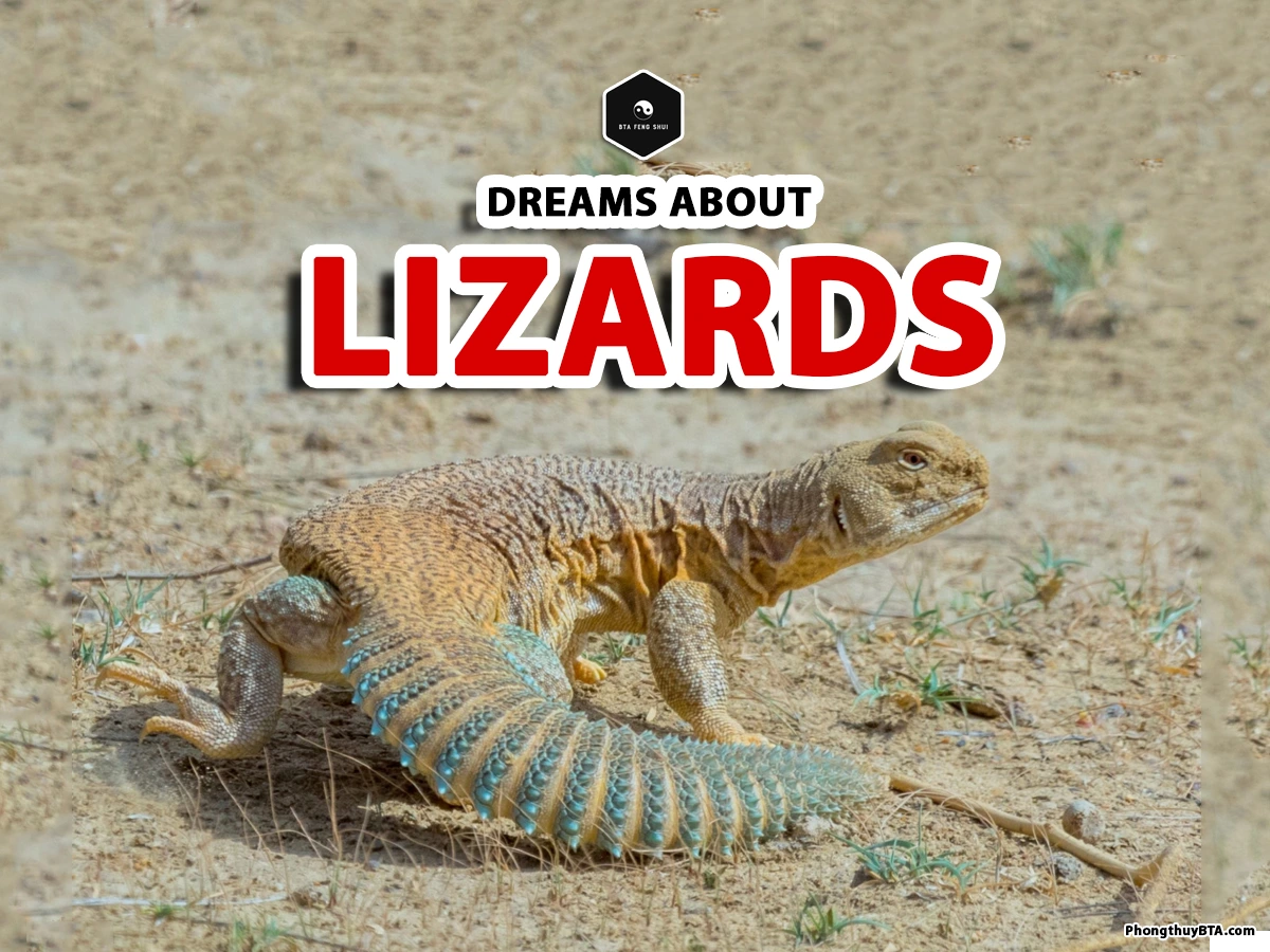 dream interpretation of lizard