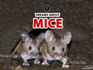 dreaming of mice