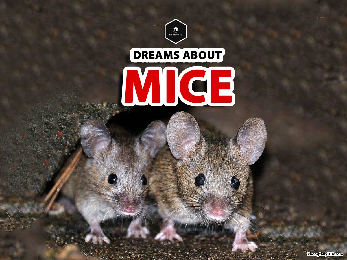 dreaming of mice