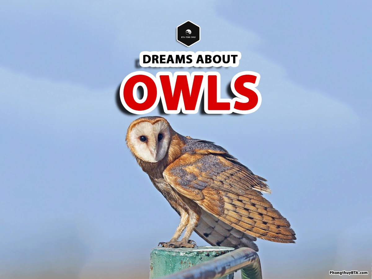 owl dream meaning