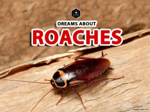 dreamed about cockroaches