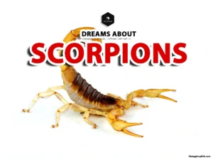 scorpion dream meaning
