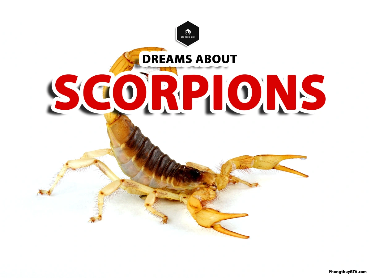 scorpion dream meaning