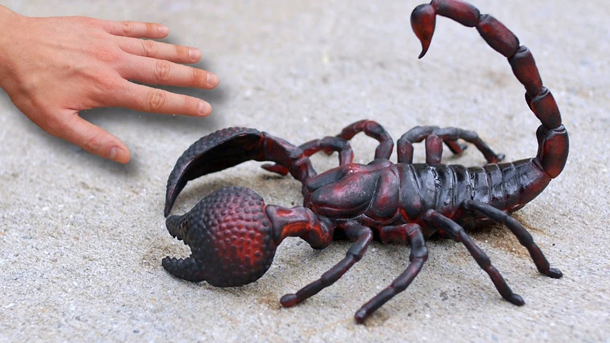 what does dreaming about scorpions mean