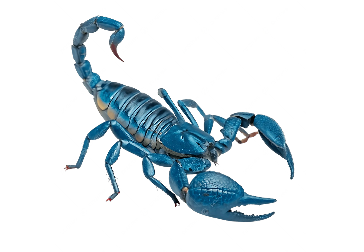 spiritual meaning of scorpion in dreams