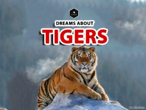 meaning of dreaming a tiger