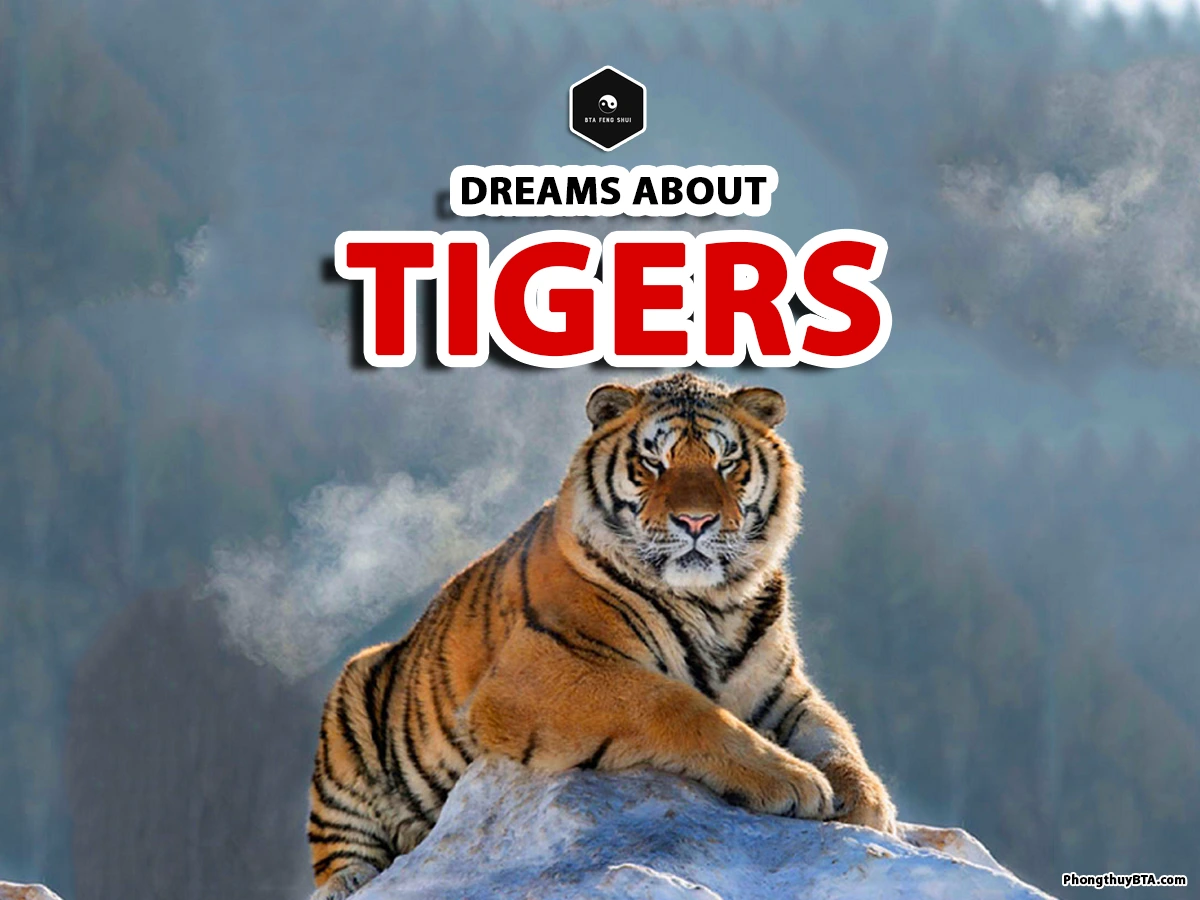 meaning of dreaming a tiger
