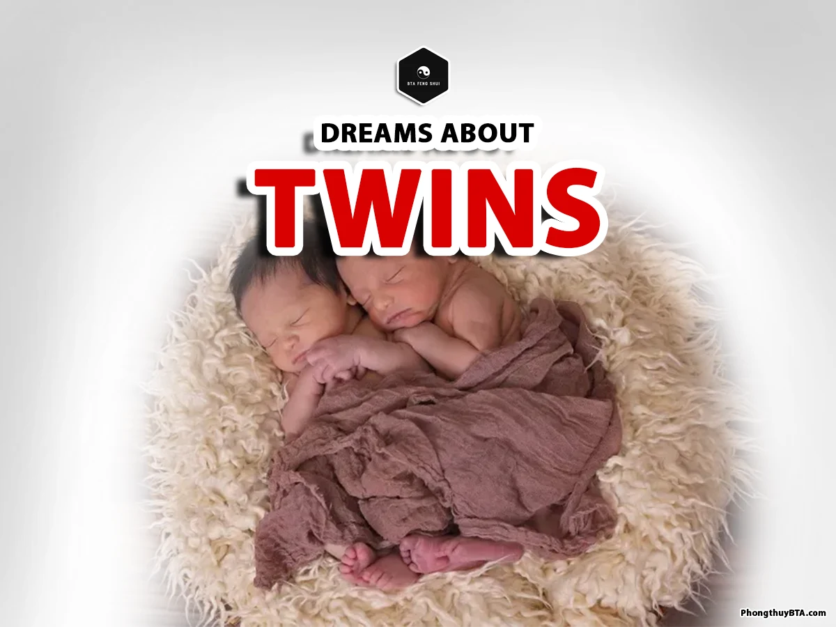 dreaming of being pregnant with twins