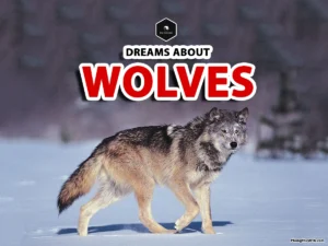 wolf dream meaning