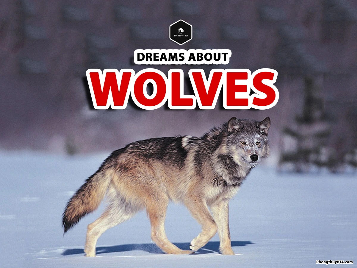 wolf dream meaning