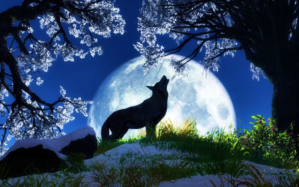 meaning of dreaming with wolves