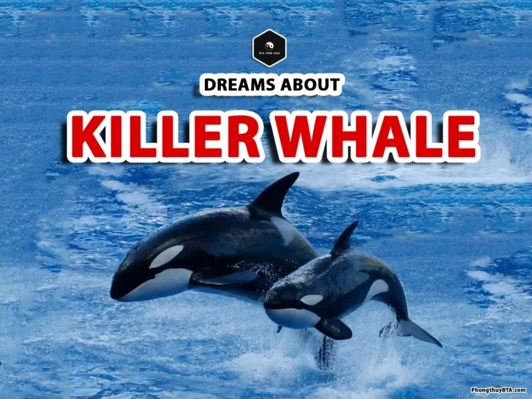 Killer Whale Dream Meaning